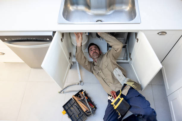 Best Plumbing Inspection Services  in Apalachin, NY